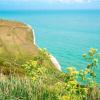 England, Kent, White Cliffs of Dover